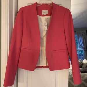 Ann taylor loft suit jacket. NWT